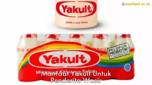 6 Manfaat Yakult Untuk Penderita Wasir