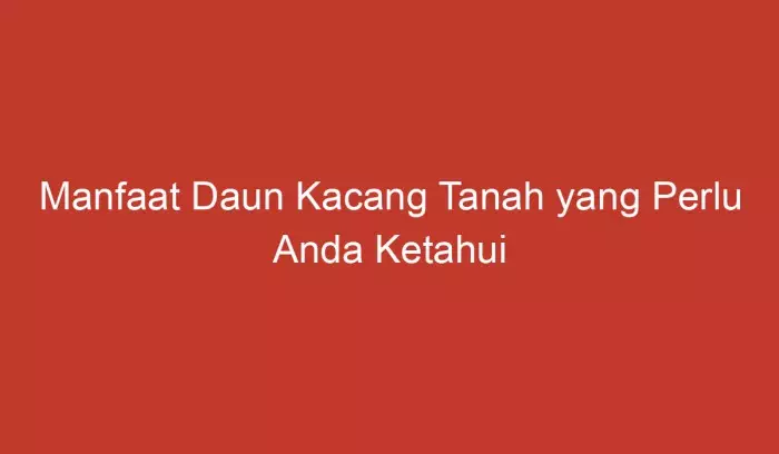 manfaat daun kacang tanah yang perlu anda ketahui 12055