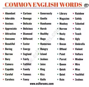 Common Words in English 3