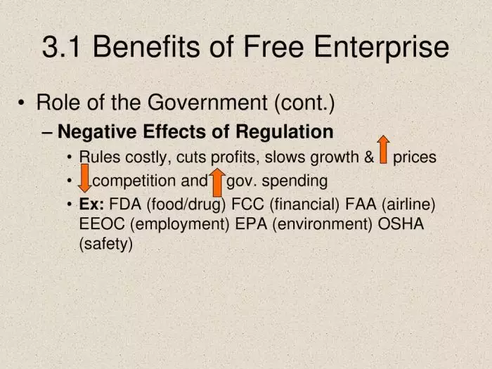 3.1 Benefits of Free Enterprise