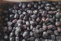 Khasiat Kurma Hitam Sebagai Buah Superfood Dengan Nutrisi Tinggi Untuk Kesehatan Jantung Dan Imunitas