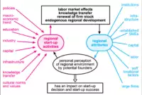 Causes and effects of regional entrepreneurship