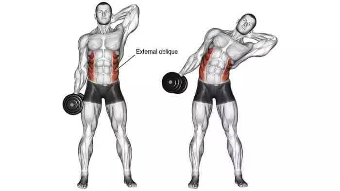 Dumbbell Side Bend