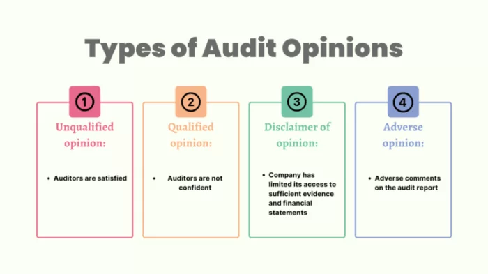 Financial Audit Infographic 1 768x432 1