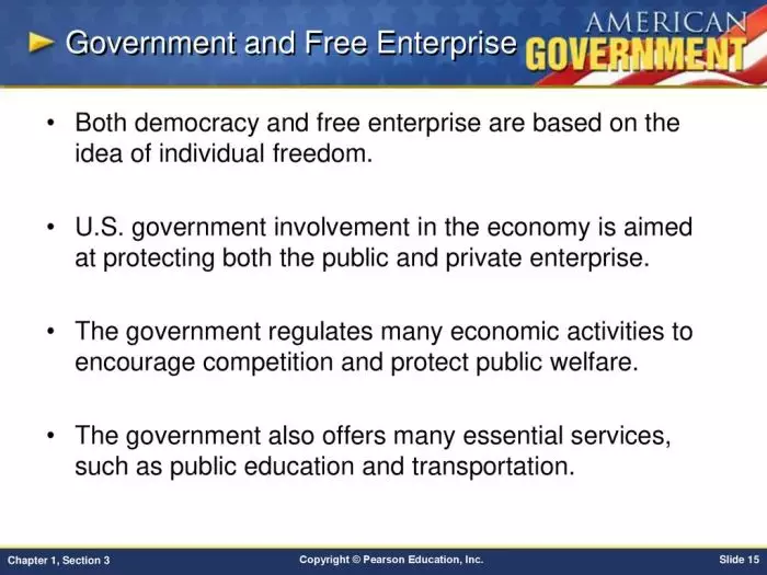 Government and Free Enterprise