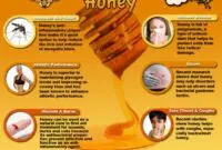 HoneyInfographicLG