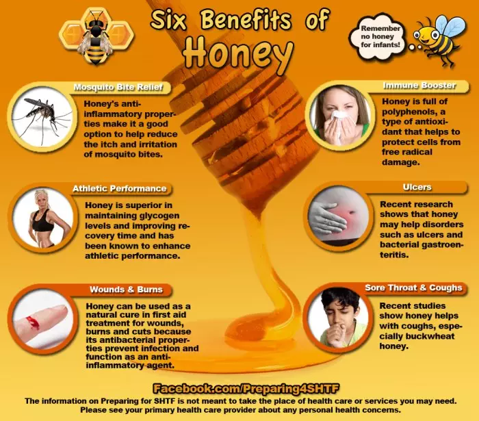 HoneyInfographicLG