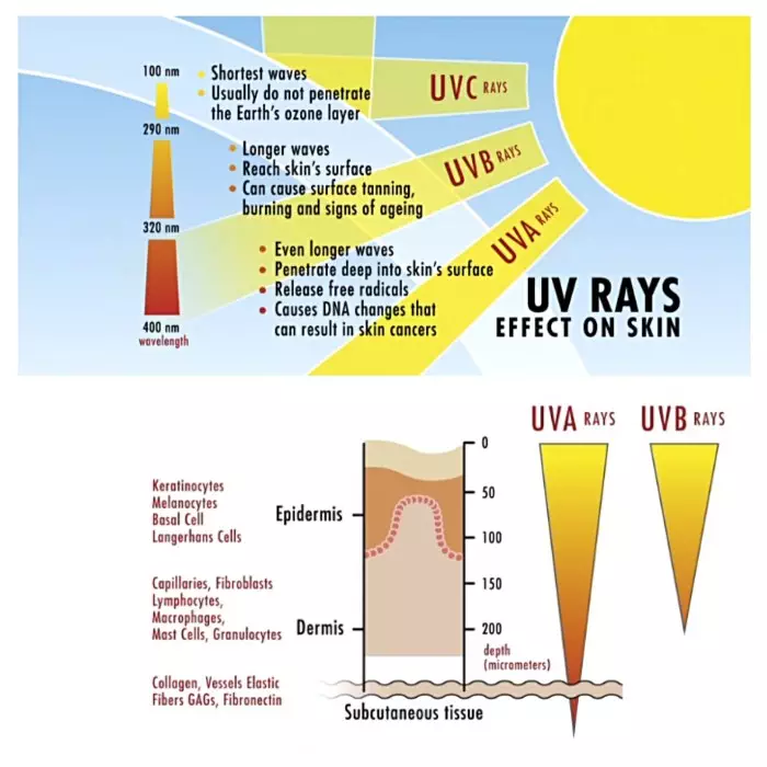 How UV Rays Effect Our Skin