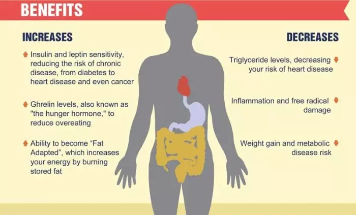 Intermittent Fasting Benefits