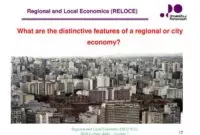 What are the distinctive features of a regional or city economy