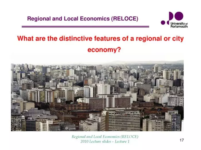 What are the distinctive features of a regional or city economy