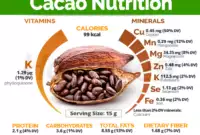 Rahasia Kurma Bam Dan Manfaatnya Sebagai Buah Pilihan Dengan Kandungan Nutrisi Yang Mendukung Kesehatan Harian