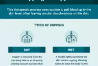 cupping therapy 101 1 1536x1281 1