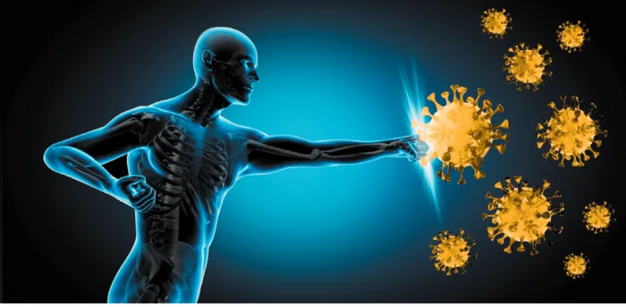 Khasiat Kurma Untuk Flu, Meningkatkan Sistem Imun Dan Mempercepat Pemulihan Secara Alami