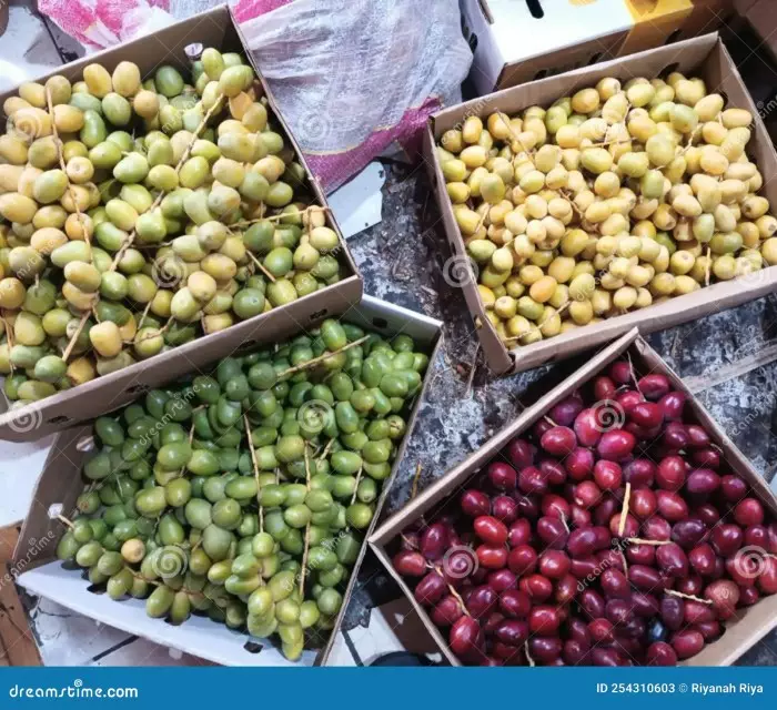 Khasiat Kurma Kuning Untuk Program Hamil, Membantu Meningkatkan Kesuburan Dan Peluang Kehamilan