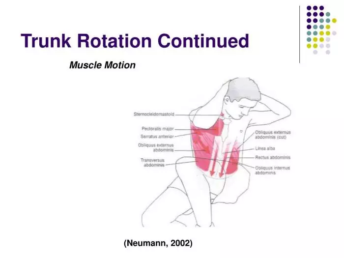 trunk rotation continued l