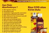 Khasiat Kurmaqu, Sumber Nutrisi Sehat Yang Membantu Meningkatkan Sistem Imun Dan Energi