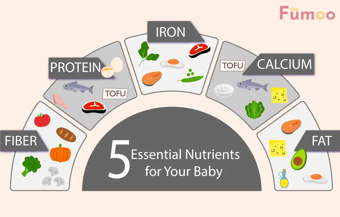 Khasiat Kurma Untuk Bayi, Nutrisi Penting Yang Mendukung Perkembangan Dan Kesehatan Sejak Dini